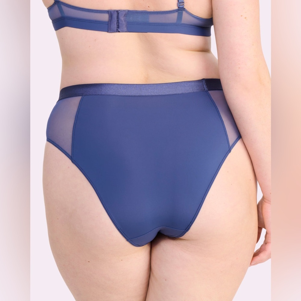 Blue High-Cut Panties Intimates - Picture 2 of 5